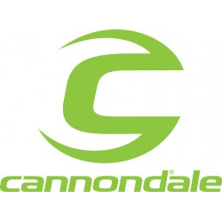 Cannodale Lefty / headshok